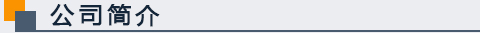 公司简介